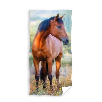 Ręcznik drukowany 30x50 TNL204015-RR KOŃ