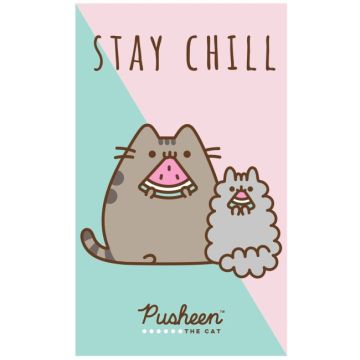 Ręcznik drukowany 30x50 Pusheen 213014