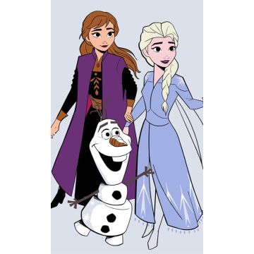 FROZEN Ręcznik 30x50 FR 213-R