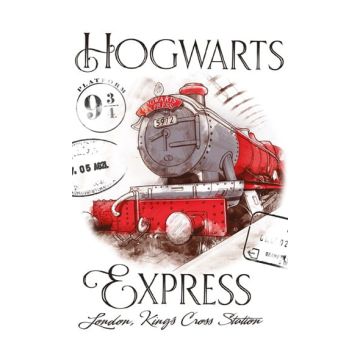 HARRY POTTER Ręcznik 30x50 HP235029-R